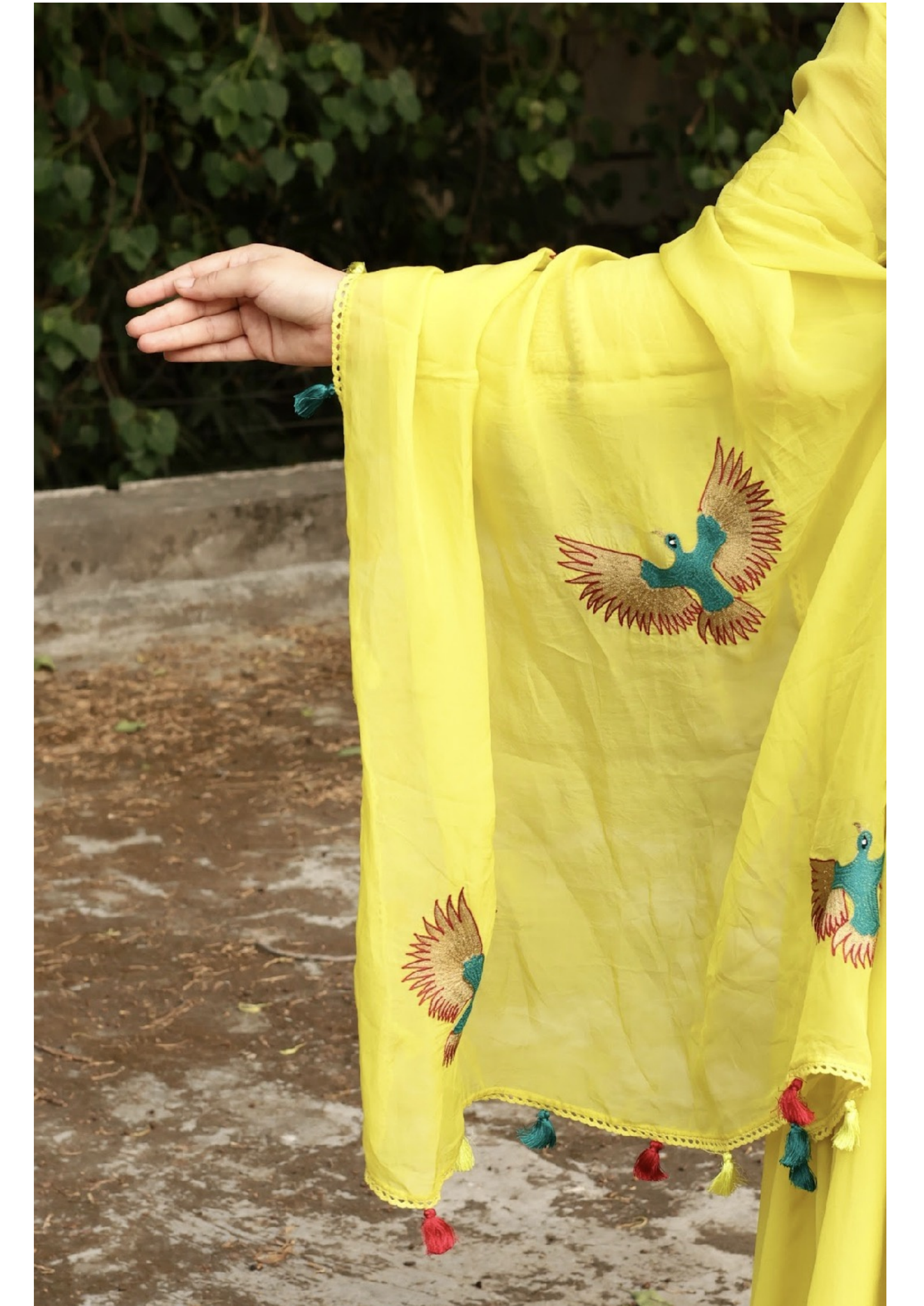 Georgette kalidar suit with organza bird embroidered dupatta