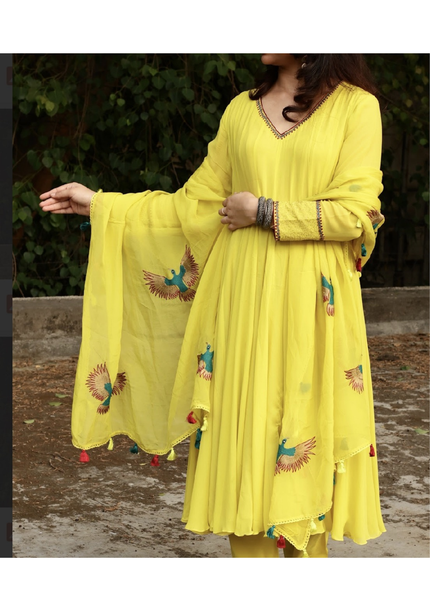 Georgette kalidar suit with organza bird embroidered dupatta