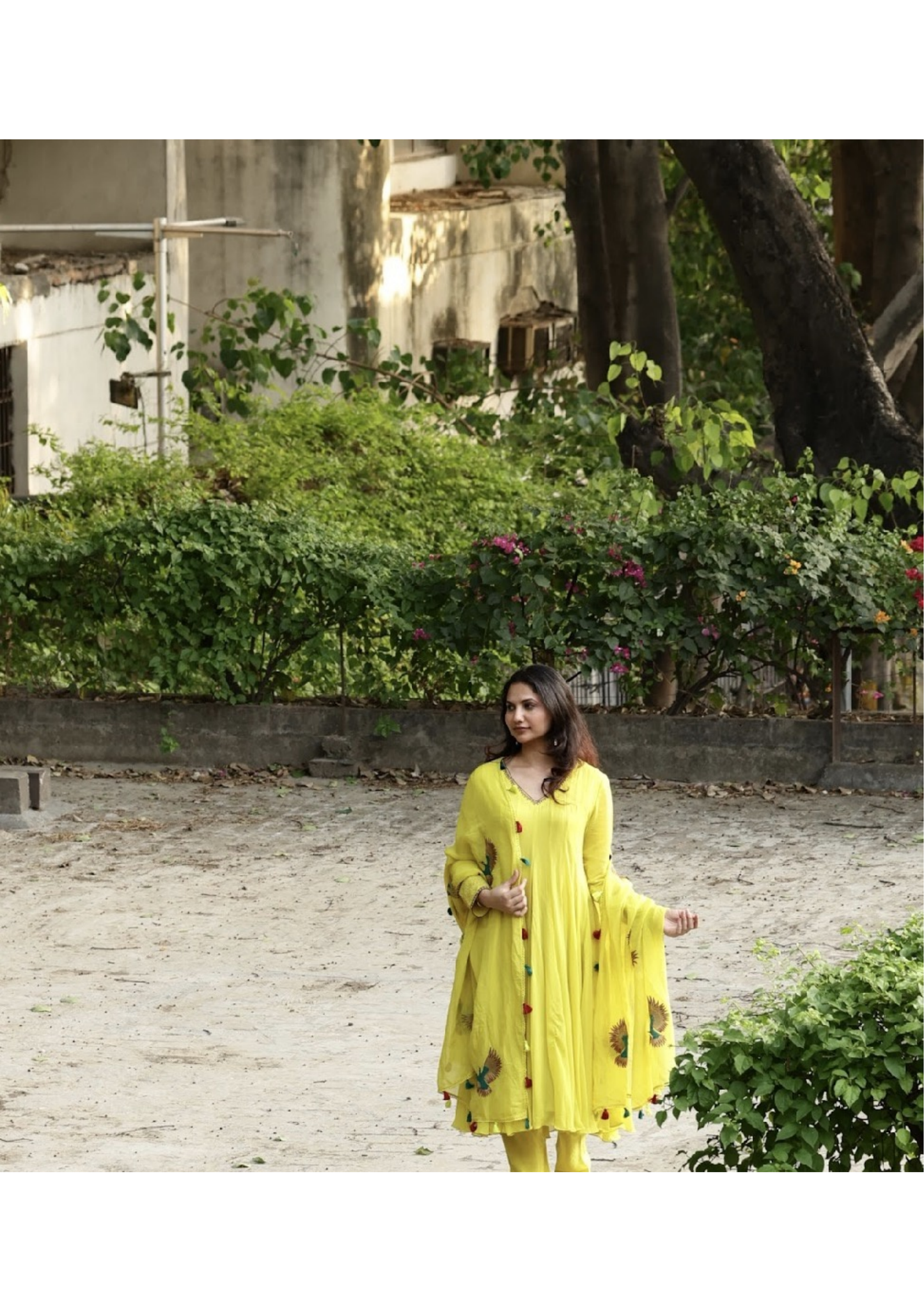 Georgette kalidar suit with organza bird embroidered dupatta